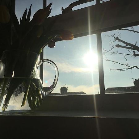 Brighton Boutique Garden Studio With Free Parking Exteriör bild