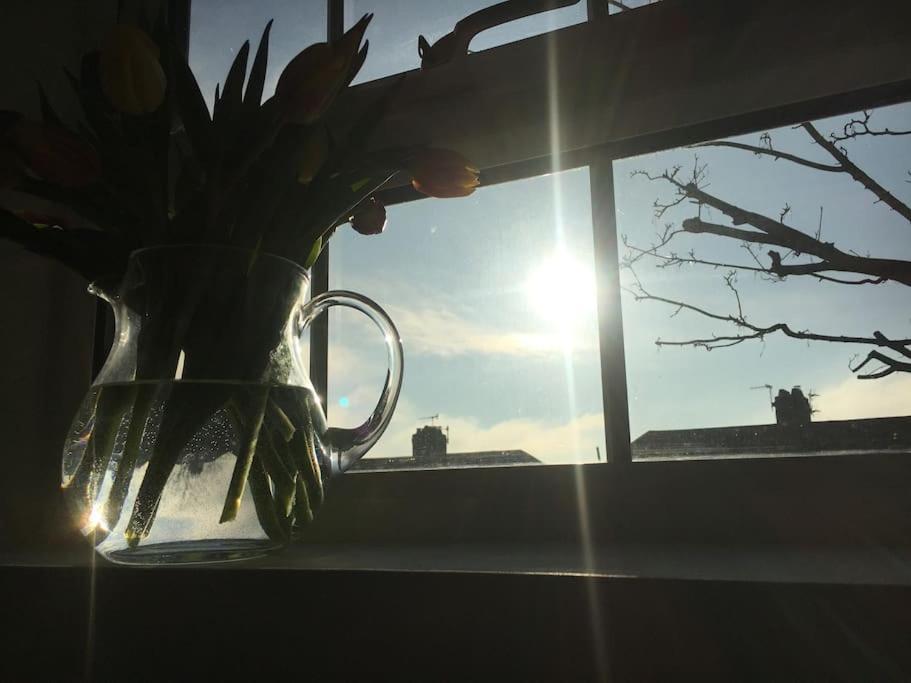Brighton Boutique Garden Studio With Free Parking Exteriör bild